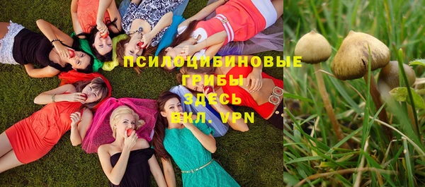 мет Алзамай