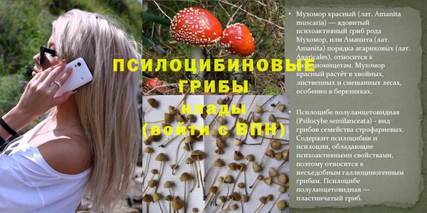 дурь Армянск