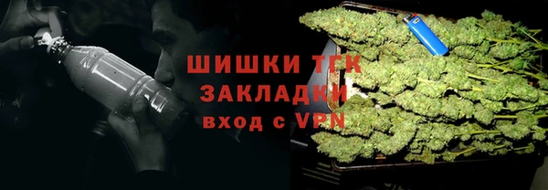 гидра Арсеньев
