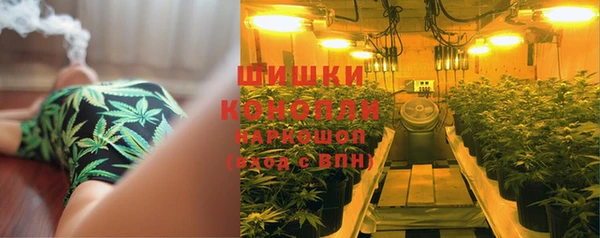 гидра Арсеньев